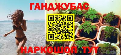 крисы Малоярославец