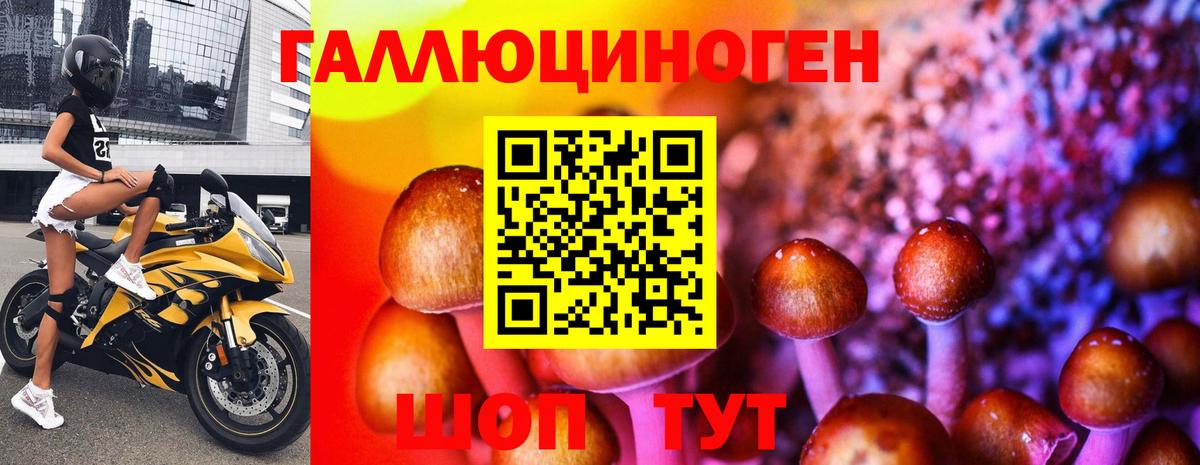 Псилоцибиновые грибы MAGIC MUSHROOMS Уссурийск