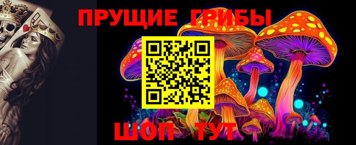 Уссурийск  Псилоцибиновые грибы прущие грибы  Псилоцибиновые грибы GOLDEN TEACHER  Вход с VPN 